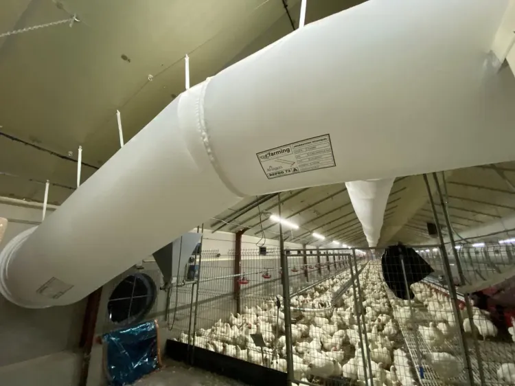 Producto sin título